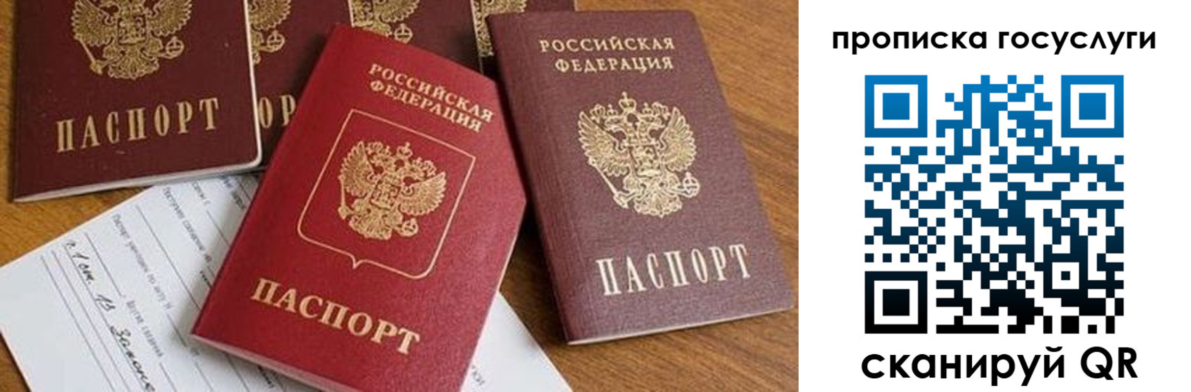 прописка ребенка в Ростовской области